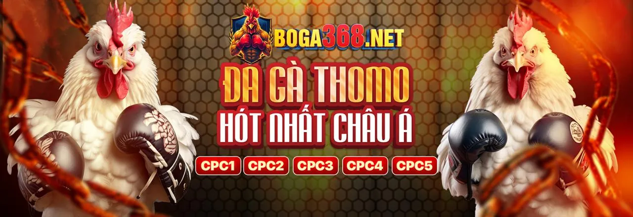 Đá gà trực tuyến Oppa888